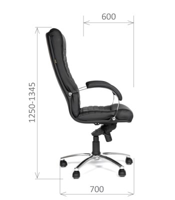 Компьютерное кресло CHAIRMAN 480 Экокожа премиум черная в Шахтах - изображение 2